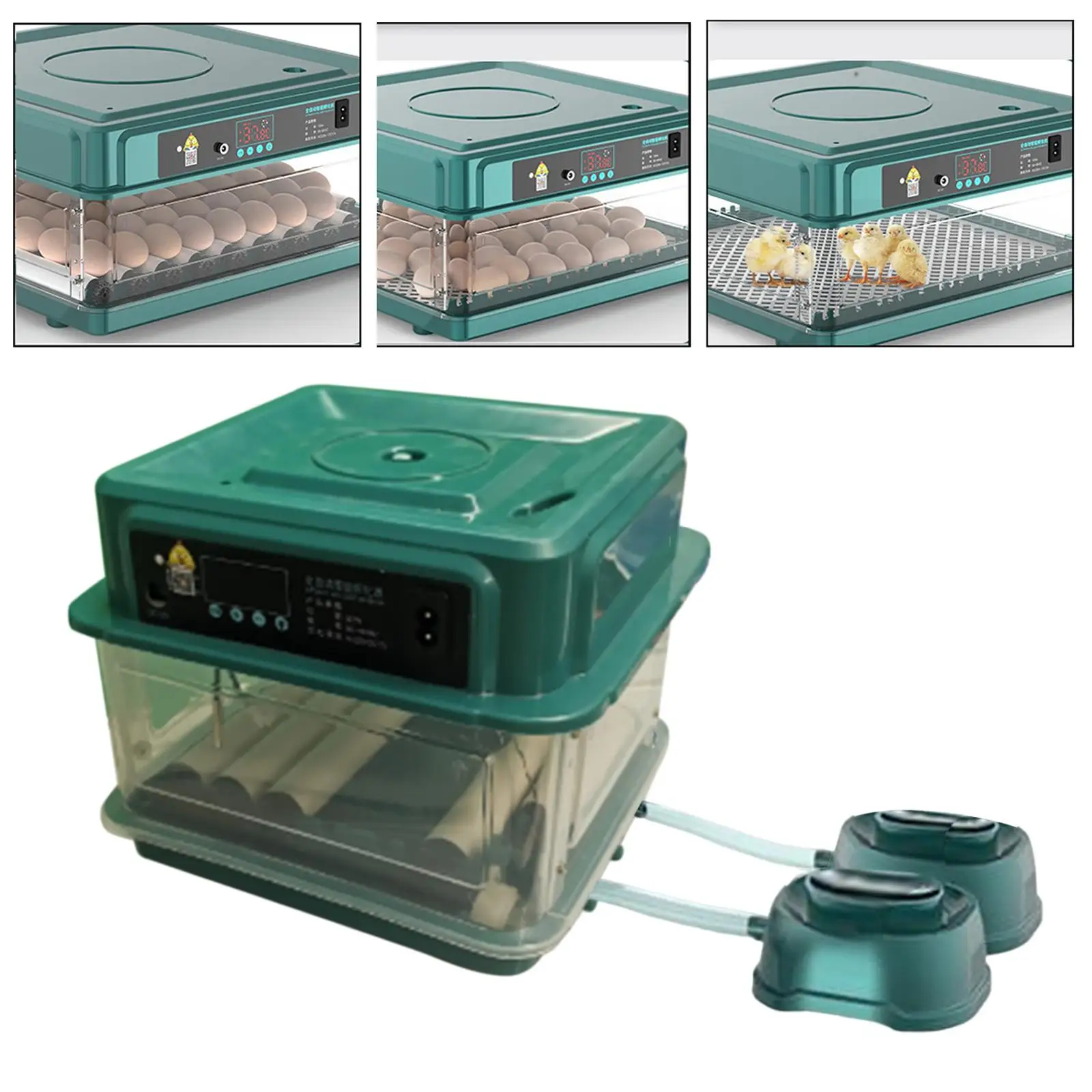 Egg Incubator Automatic Chick Incubator LED Display for Goose Chicken 24 Eggs