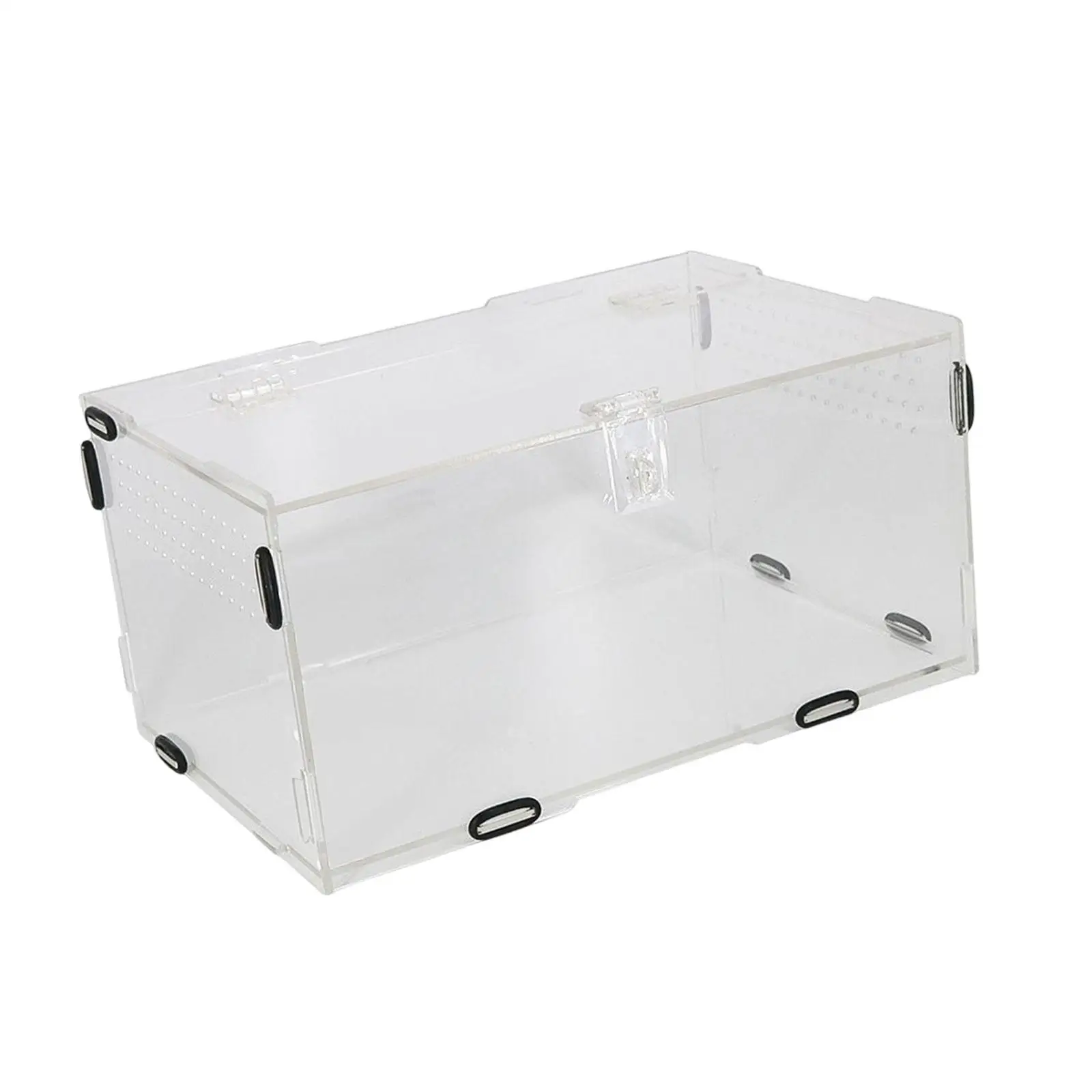 Reptile Breeding Box Transport Container Carrier Clear for Scorpion Snake