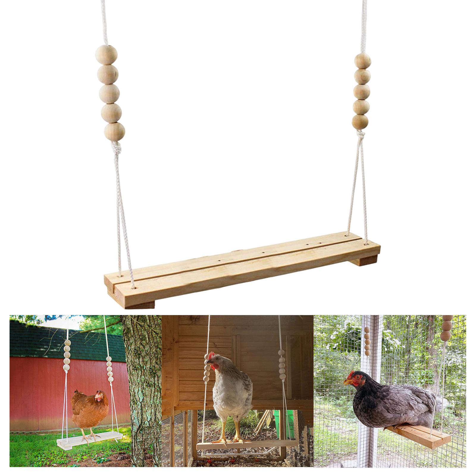 Chicken Swing Chicken Coop Toys Exercise for Small Parakeet Finches