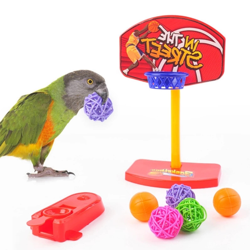 Title 7, Bird Toys 4 Types Parrot Toy Set Include Basket...