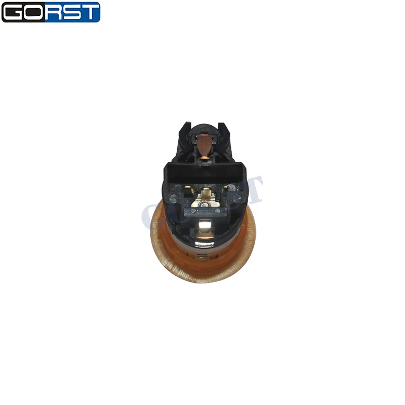Car Cigarette Lighter 8200046338 for Renault Kangoo Megane Master Clio Dacia Auto Part 8200021577 7700434803 7700436354