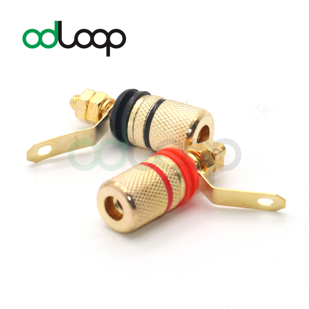 MACHSWON Lot De 2 Adaptateurs De Câbles Pour Haut-parleur De Voiture