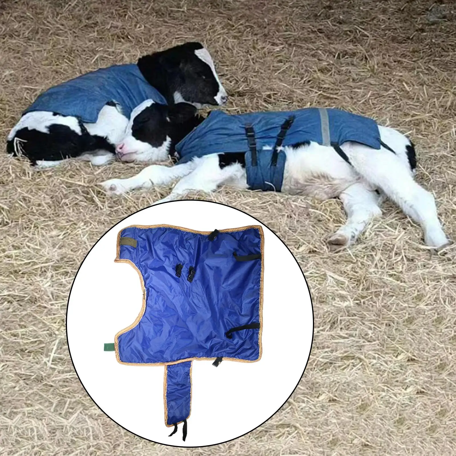 Calf Warm Clothes Calf Coat Blanket for Keep Cow Warm Thickened Belly Protection Windproof Blue