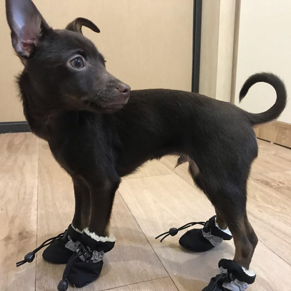 Title 4, 4 Teile/satz Haustier Hund Welpen Schuhe Schutz...