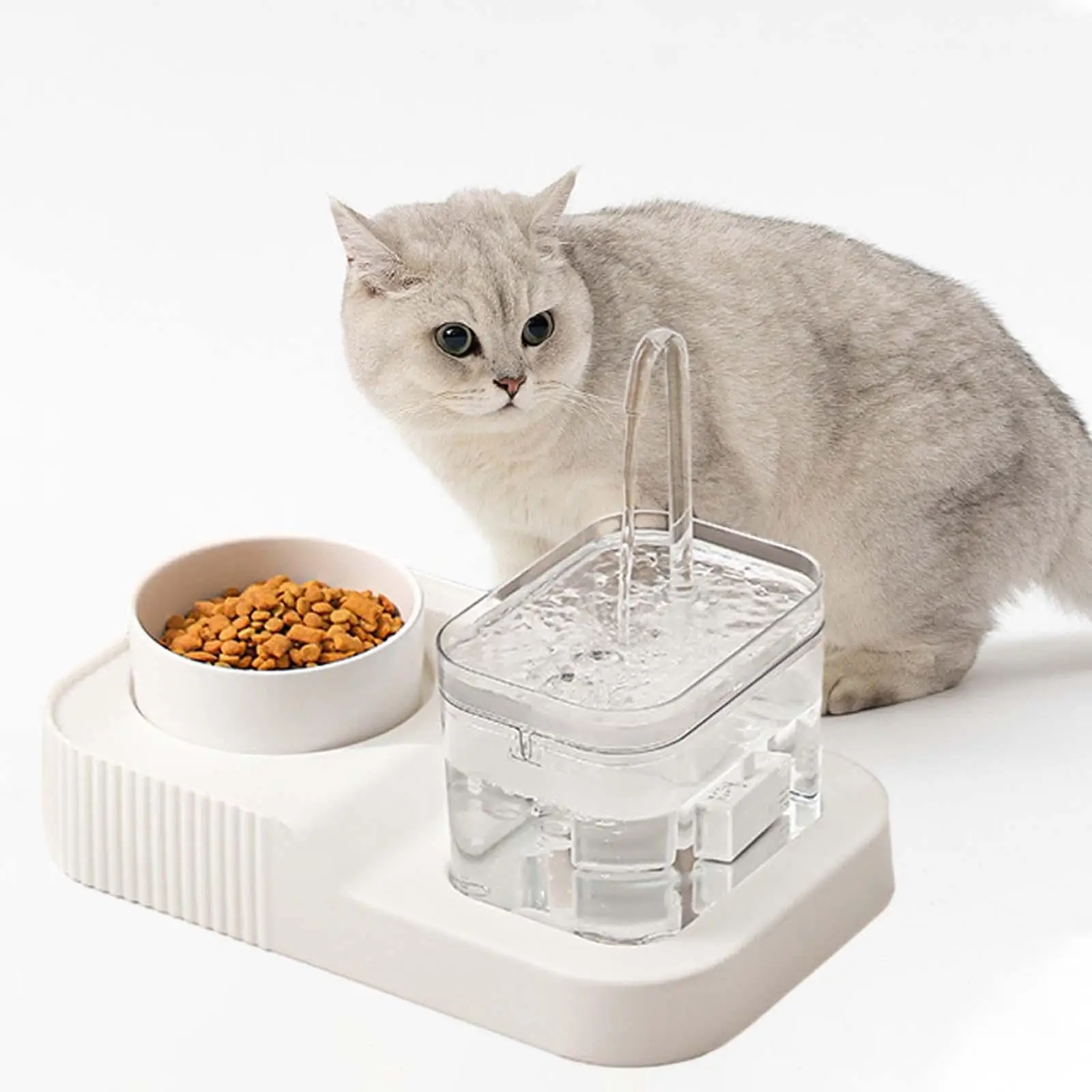 Cats Feeder Pet Supplies 1L Water Tank Food Feeding Raised Dishes Drinking Bowl Cat Food Bowl for Rabbit Indoor Cats Kitten