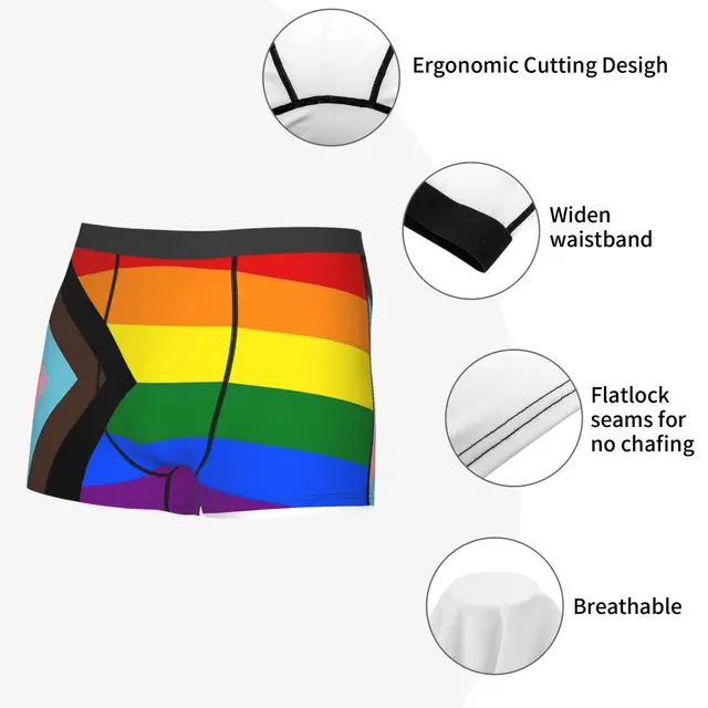 Men Boxer Shorts Panties Progress Pride Flag Breathable Underwear LGBT  Rainbow Homme Humor Plus Size Underpants - AliExpress