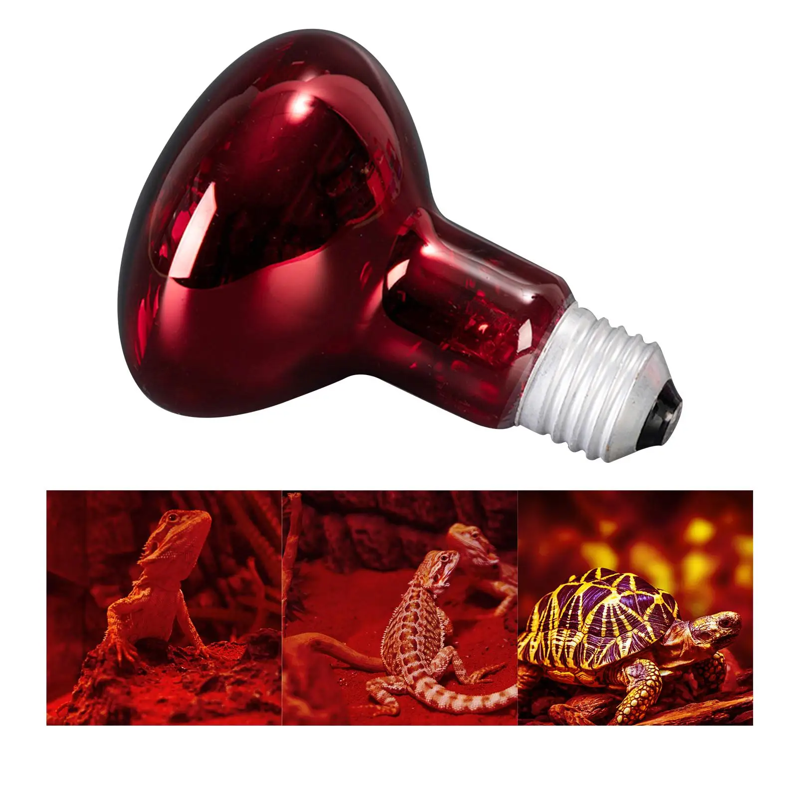 Reptile Heating Lamp 100W E27 Holder Habitat Heater Source Pet Heat Lights Bulb for Vivarium Turtle Amphibian Chameleons