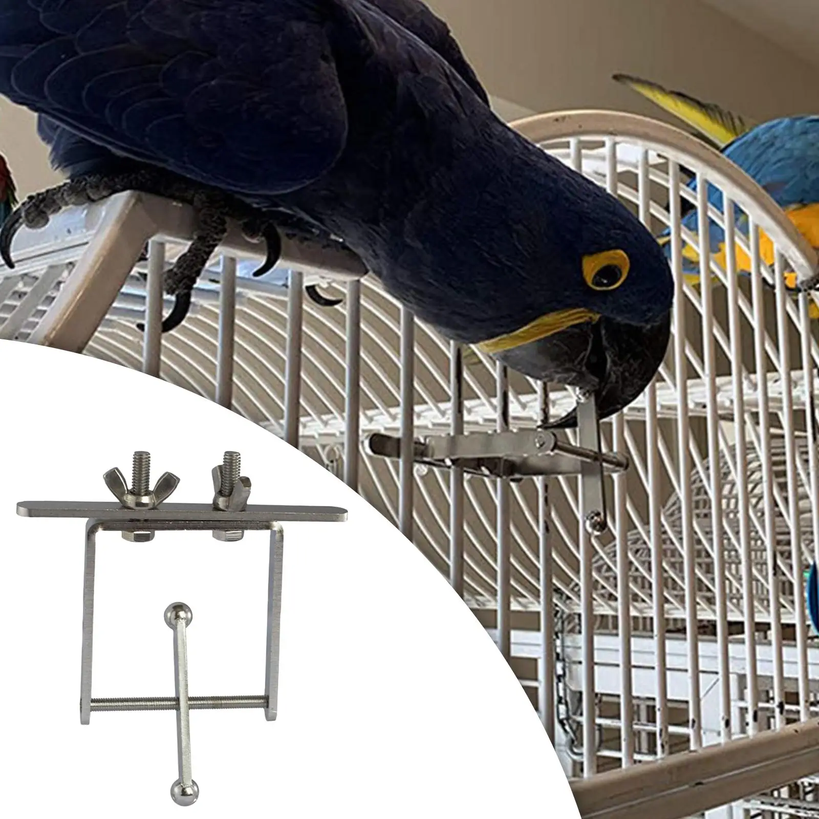 Stainless Steel Bird Chewing Toys Training Parrot  Toy for Macaw