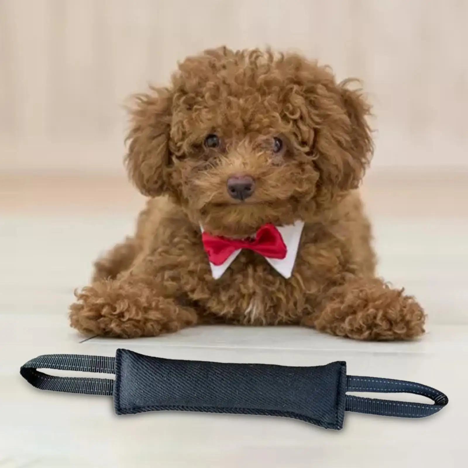 Dog Bite Tug Toy 2 Handles Training Bite Pillow for Pitbull Puppy Tug of War