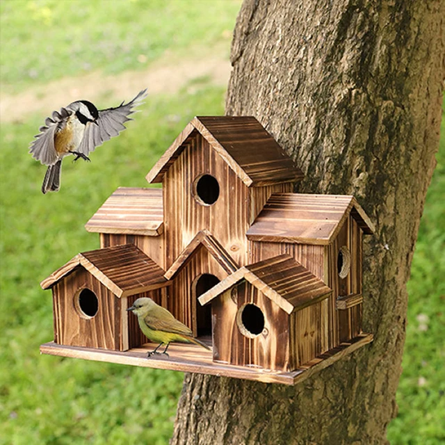 Petite maison d'oiseau en bois avec ULde face, décoration de jardinage,  accent d'oiseau créatif, types de bricolage muraux