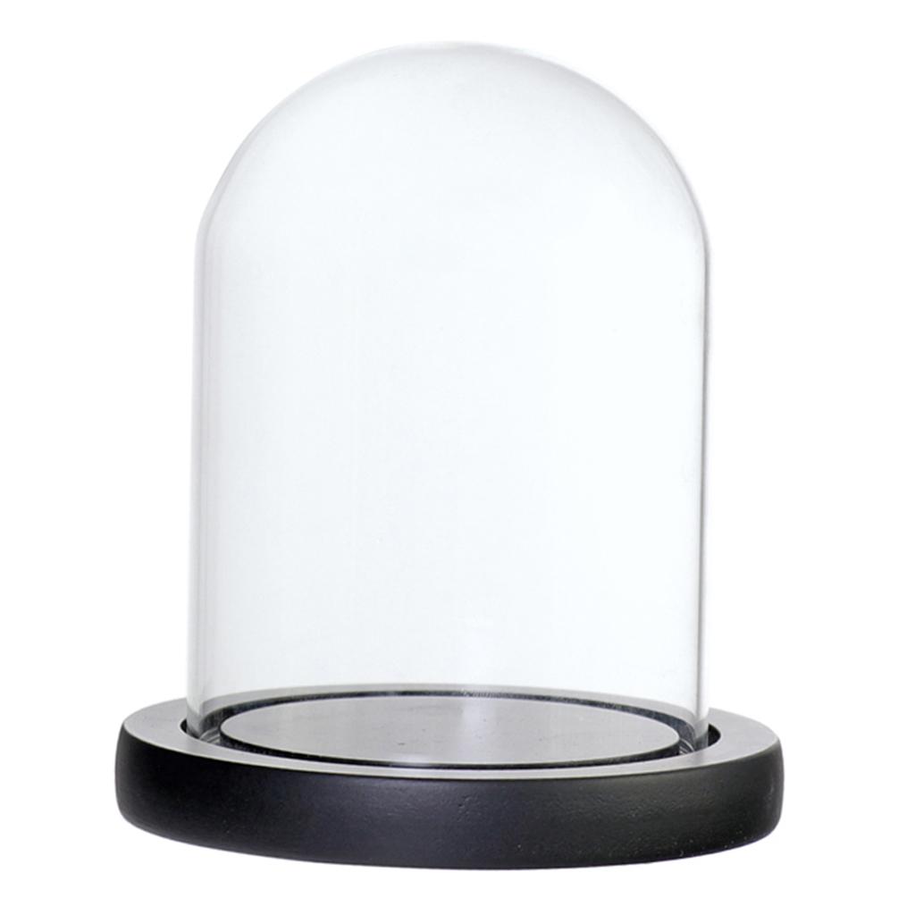 Glass Glass Display Dome Cloche Bell Jar with Wooden Base DIY Decoration Garden Micro Flower Landscape Bottle Holder Home Decor