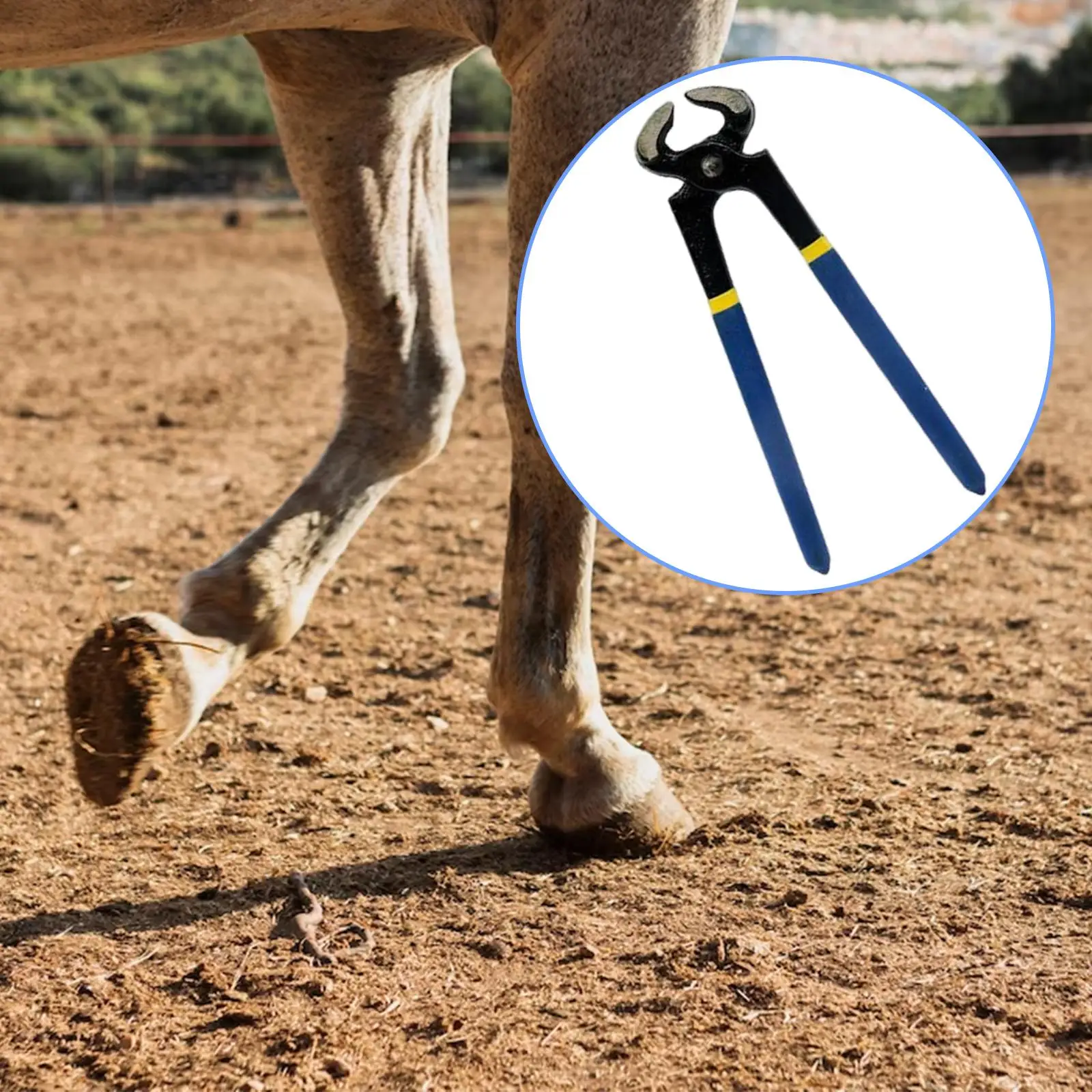 Horse Hoof Trimmer Horse Farrier Tool Metal Structure Goat Hoof Trimming Shear Hoof Nippers for Goats Sheep Cattle