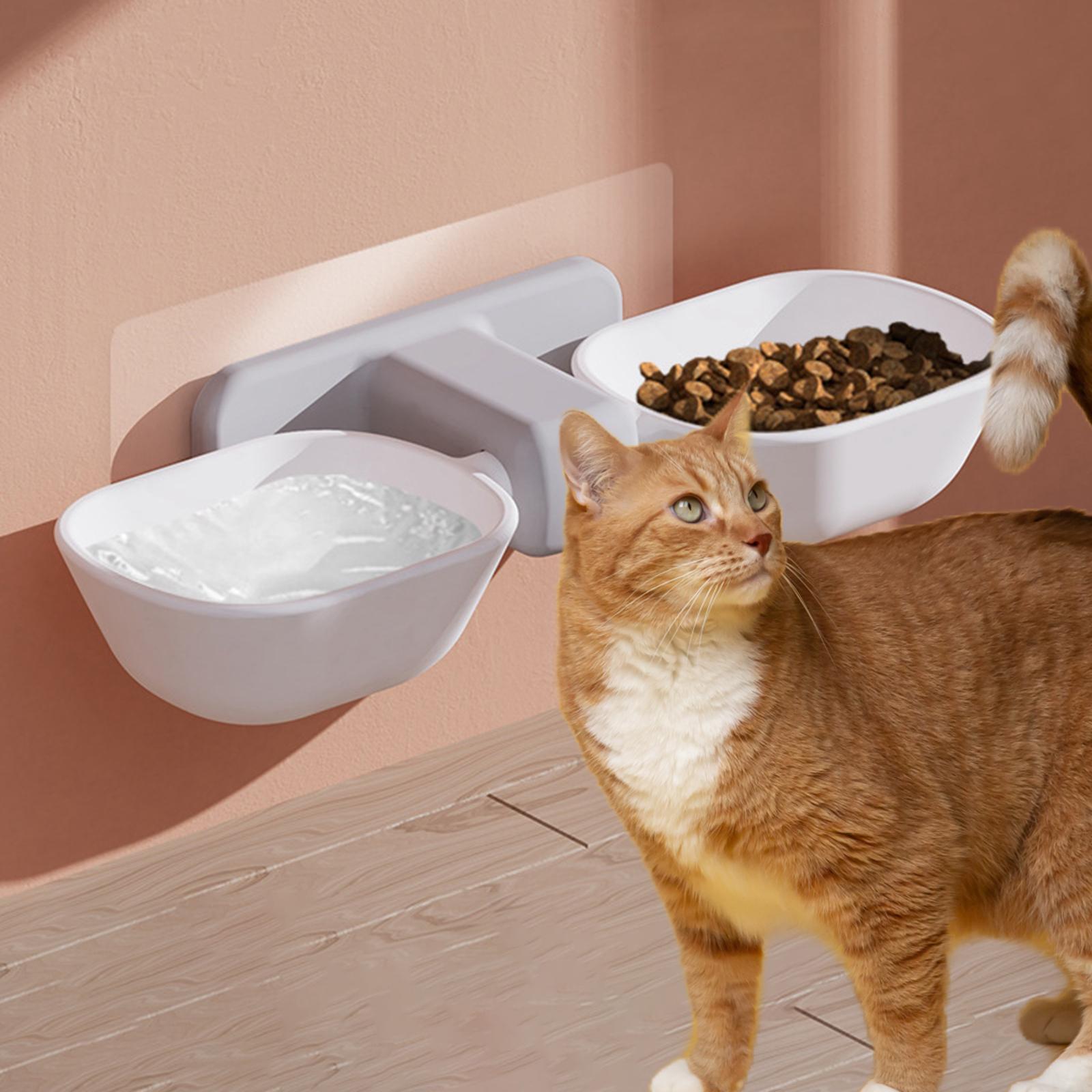 immovable cat bowls