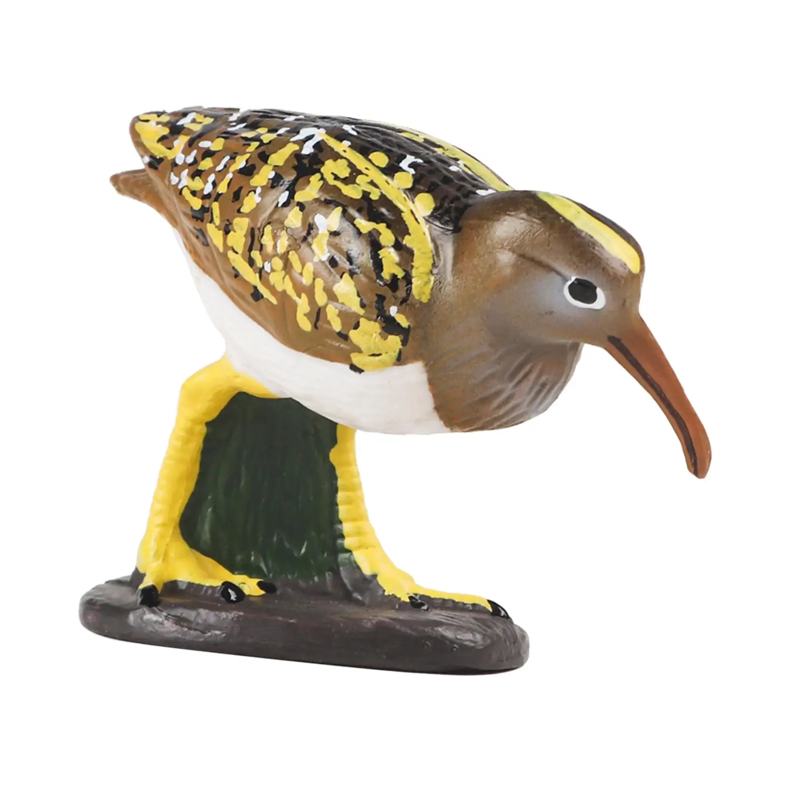 Durable bird figure, fine workmanship, cute educational toy, bird model, bird