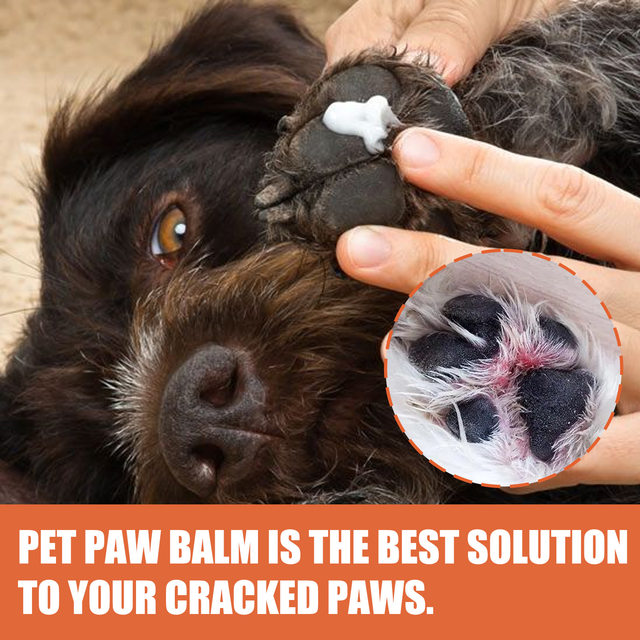 Best cream shop for dog paws