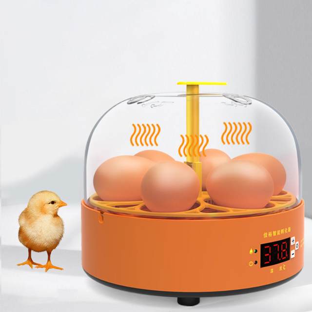 6 Digital Eggs Incubator Temperature Controller Hatching Machine Experimental for Parrot Bird Egg Duck Bird Pigeon Quail