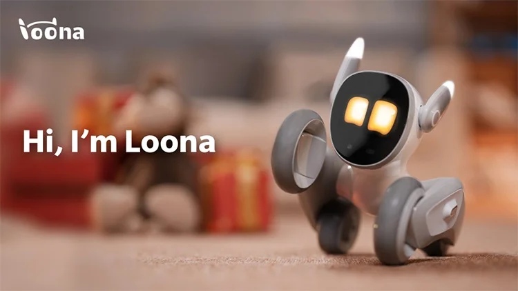 国産】 Loona ルーナ All-inパッケージ ペットロボット PETBOT その他