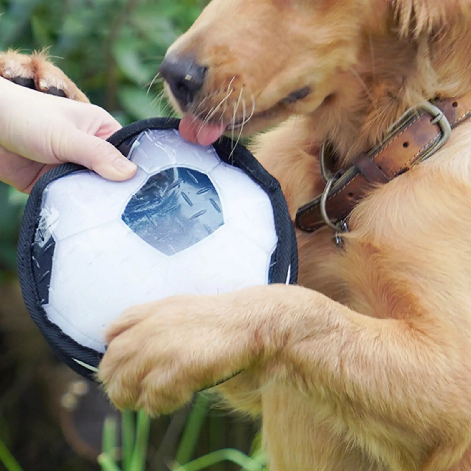 Interactive Dog Toys Ball Chew Toy for Aggressive Chewers Adjustable for Small Medium Large Dog Yard