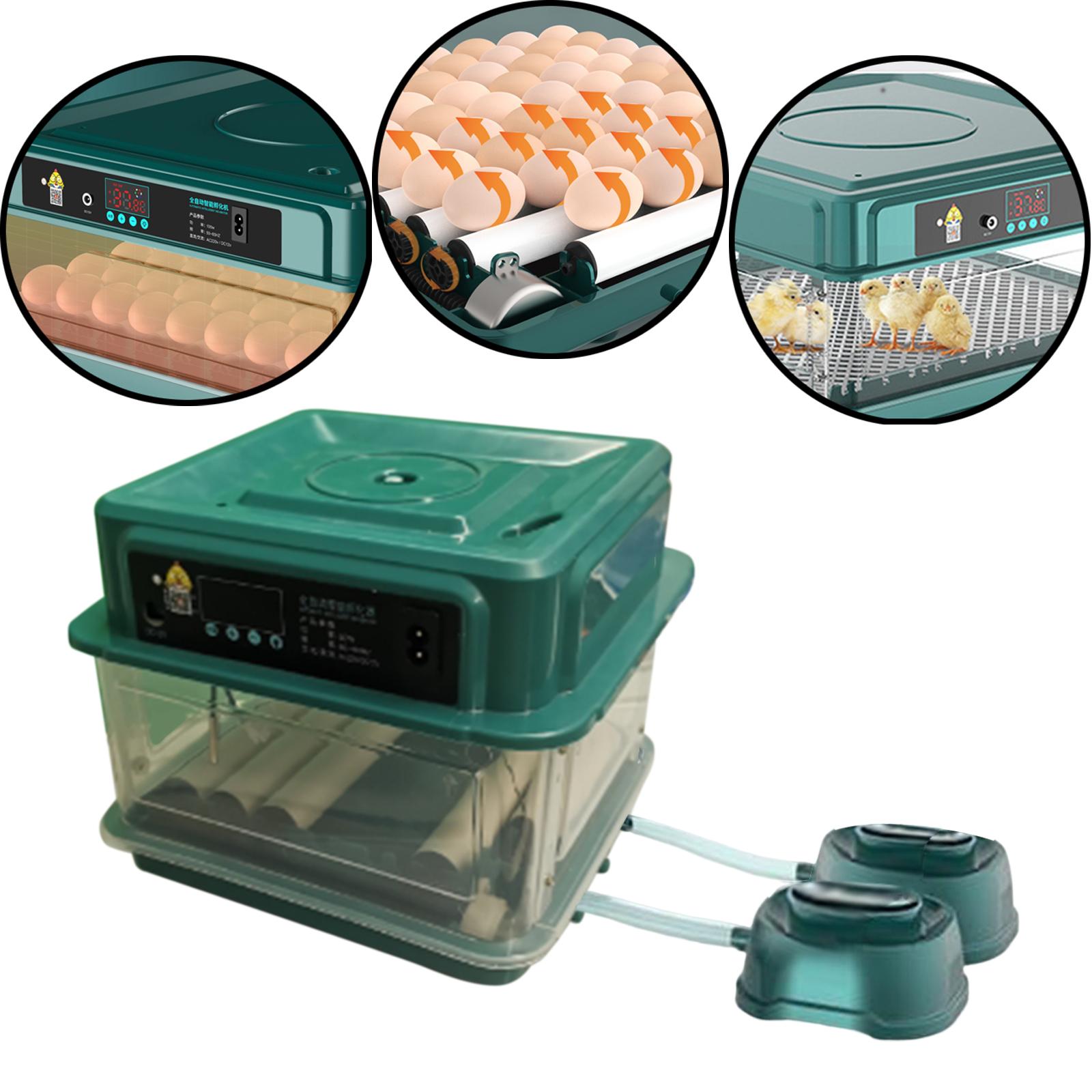 Egg Incubator Automatic Chick Incubator LED Display for Goose Chicken 24 Eggs