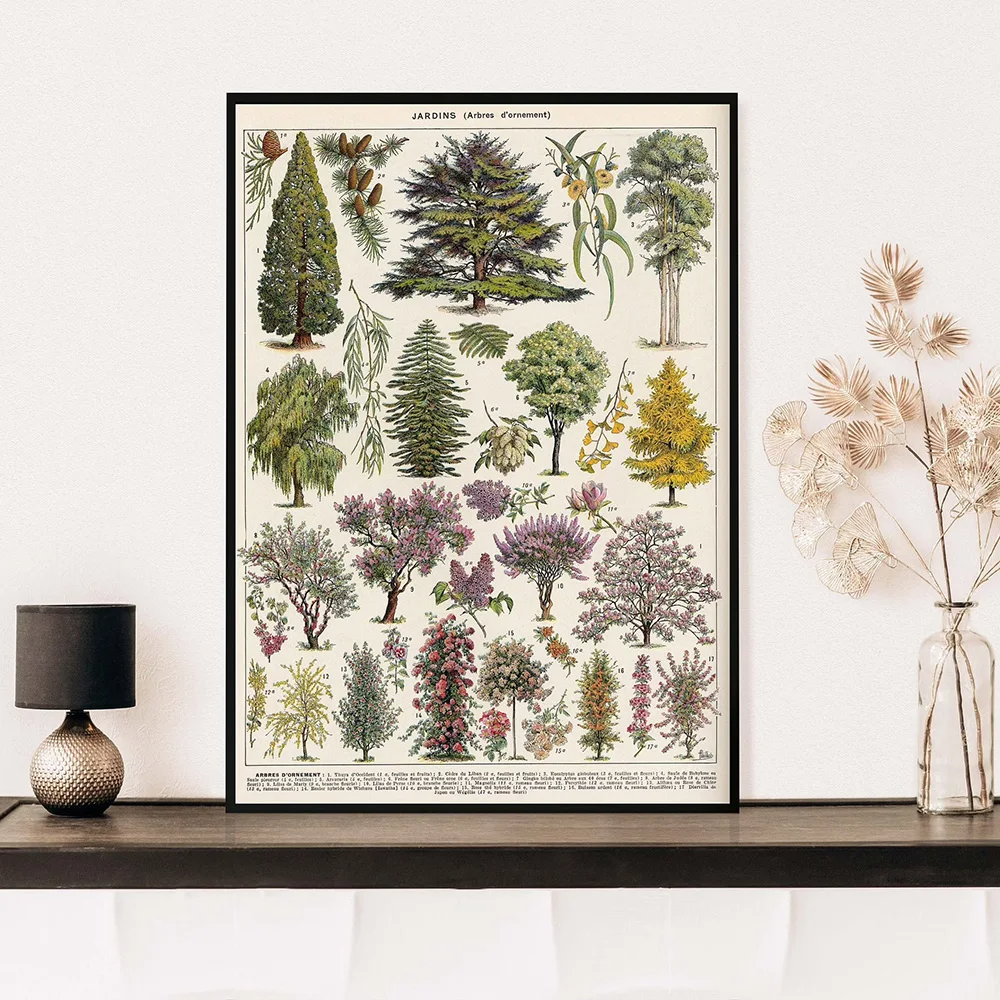 Vintage Adolphe Millot Encyclopedia Posters and Prints Botanical Mushrooms Herbs Flowers Insect Canvas Paintings Wall Art Decor