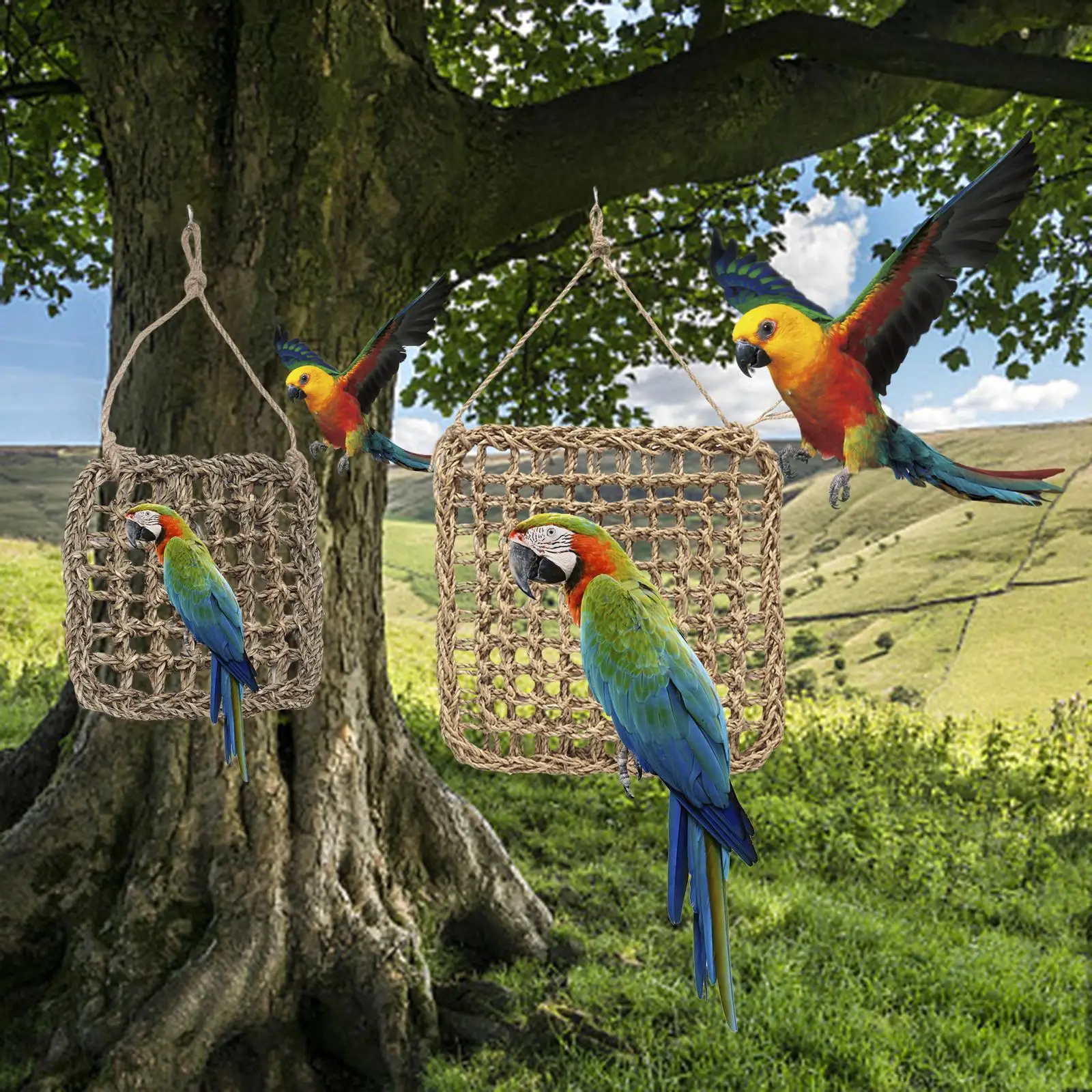 Bird Hammock Swing Thicken Chew Toys Perch Decor Bird Climbing Ladder for Lovebirds Finches Parakeets Macaw Cockatoo