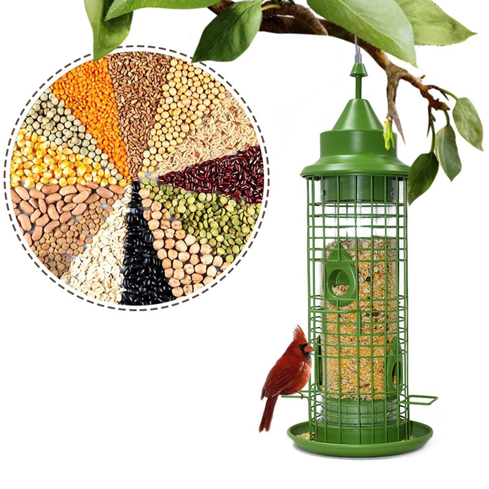 Hanging Bird Feeder Birdfeeder, Feeding Bird Watching Metal Food Dispenser for Garden Yard Patio Decor Outside