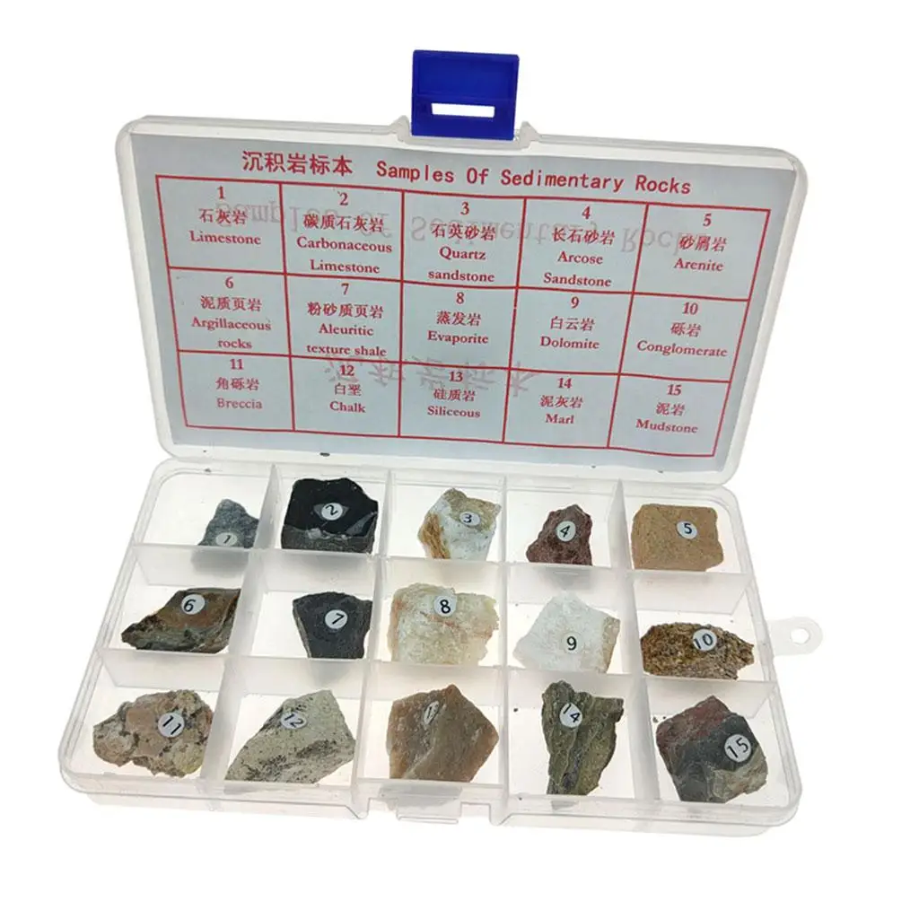 15 Pieces Sedimentary Rock Specimen Mineral Rock Stone Collection Kit Geology Science Kit Educational Toy for Children