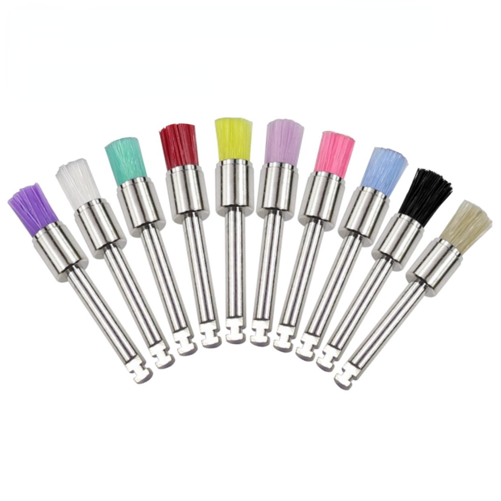 Best of 10pcs / Box Disposable Dental Polisher Nylon Bristle Brush Dentist Tools Polishing Polisher Cup Teeth Whitening Prophy Brushes Reviews & Tips