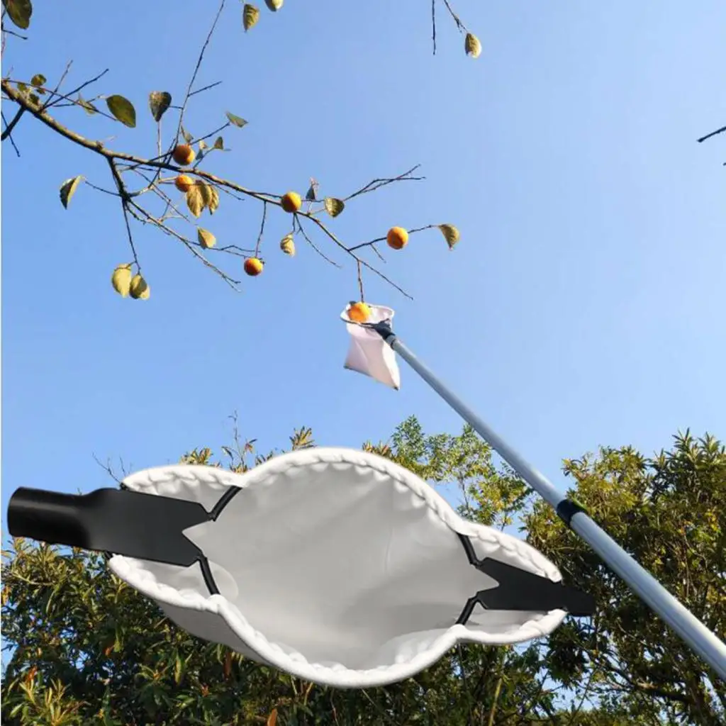 Fruit Picker Head 2V Shaped  Steel Elastic Practical for Branch Garden
