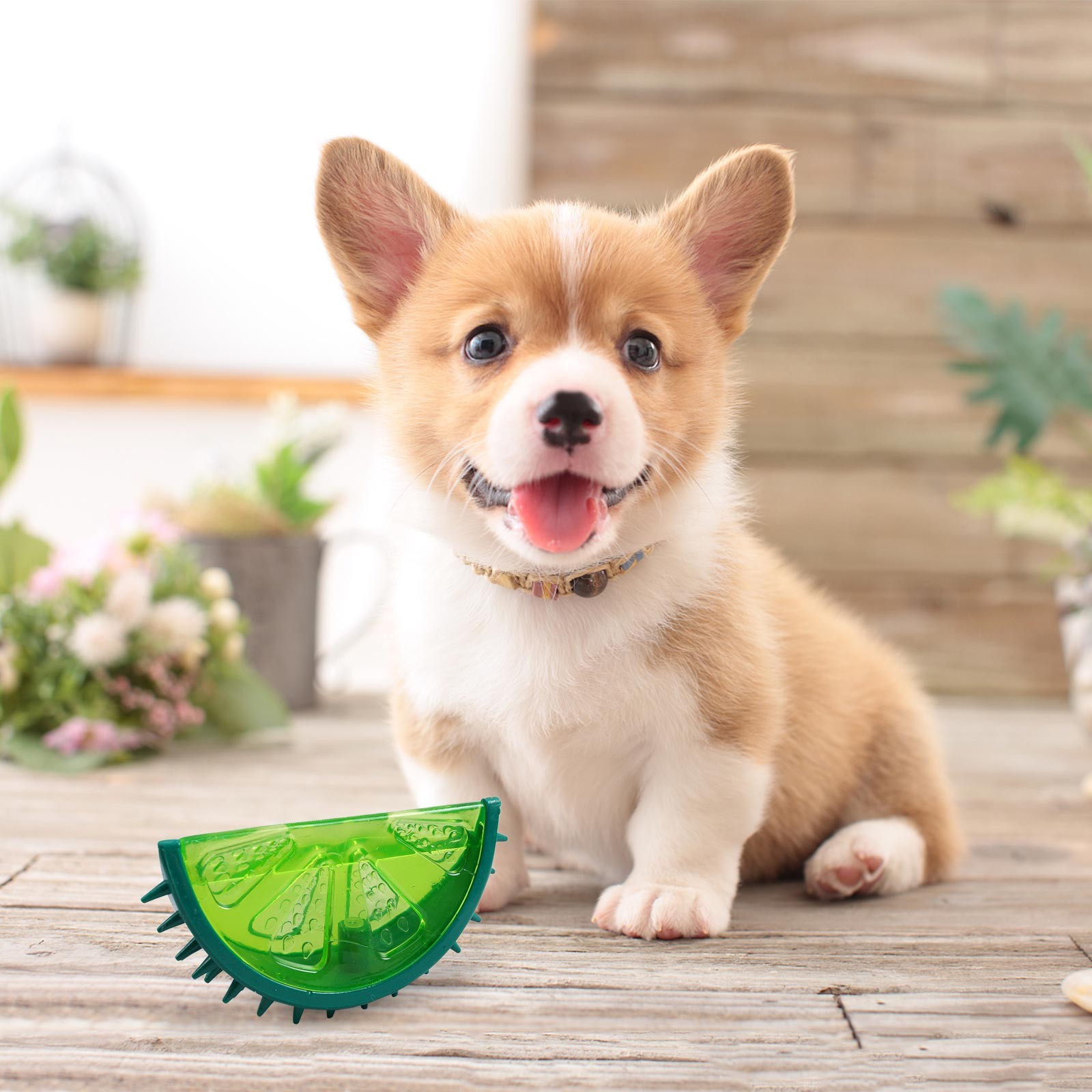 puppy cooling teething toys