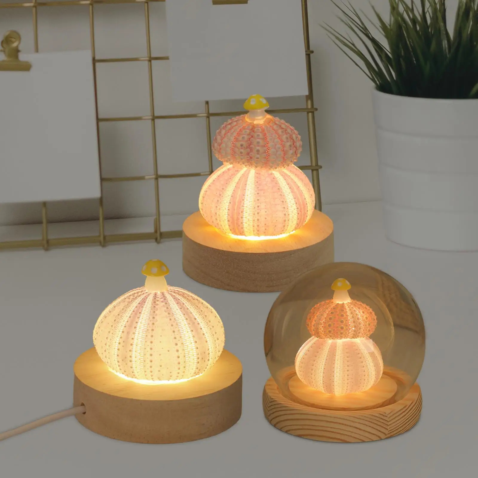 Decorative Table Lights Shell with LED Function Birthday Gift Mini Table Lamp