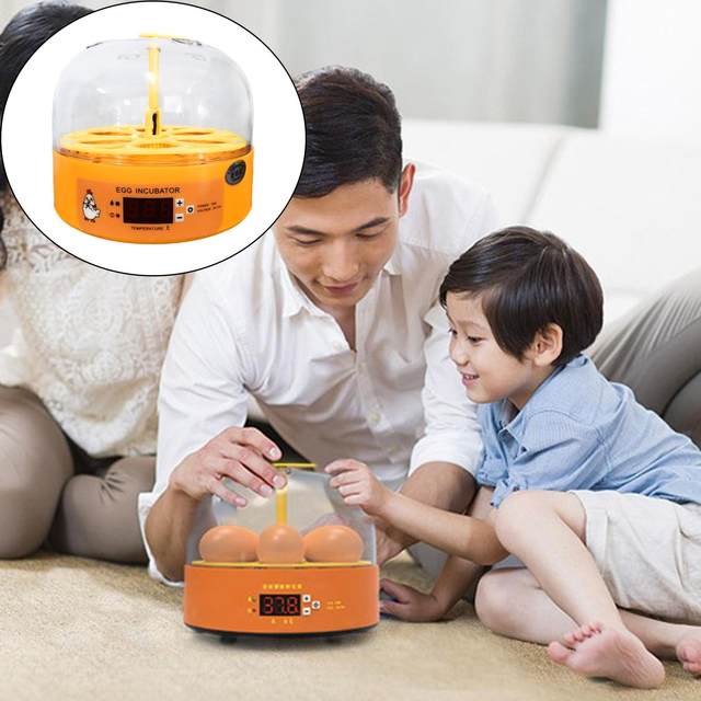 6 Digital Eggs Incubator Temperature Controller Hatching Machine Experimental for Parrot Bird Egg Duck Bird Pigeon Quail
