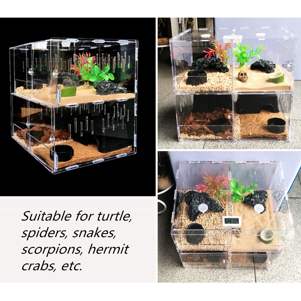 Title 6, Reptile Feeder Tank Acrylic Terrarium Insect Sp...