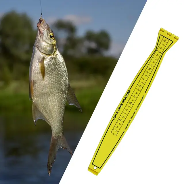 Fish Ruler for Boat Measurement Tool Precision Marks Waterproof