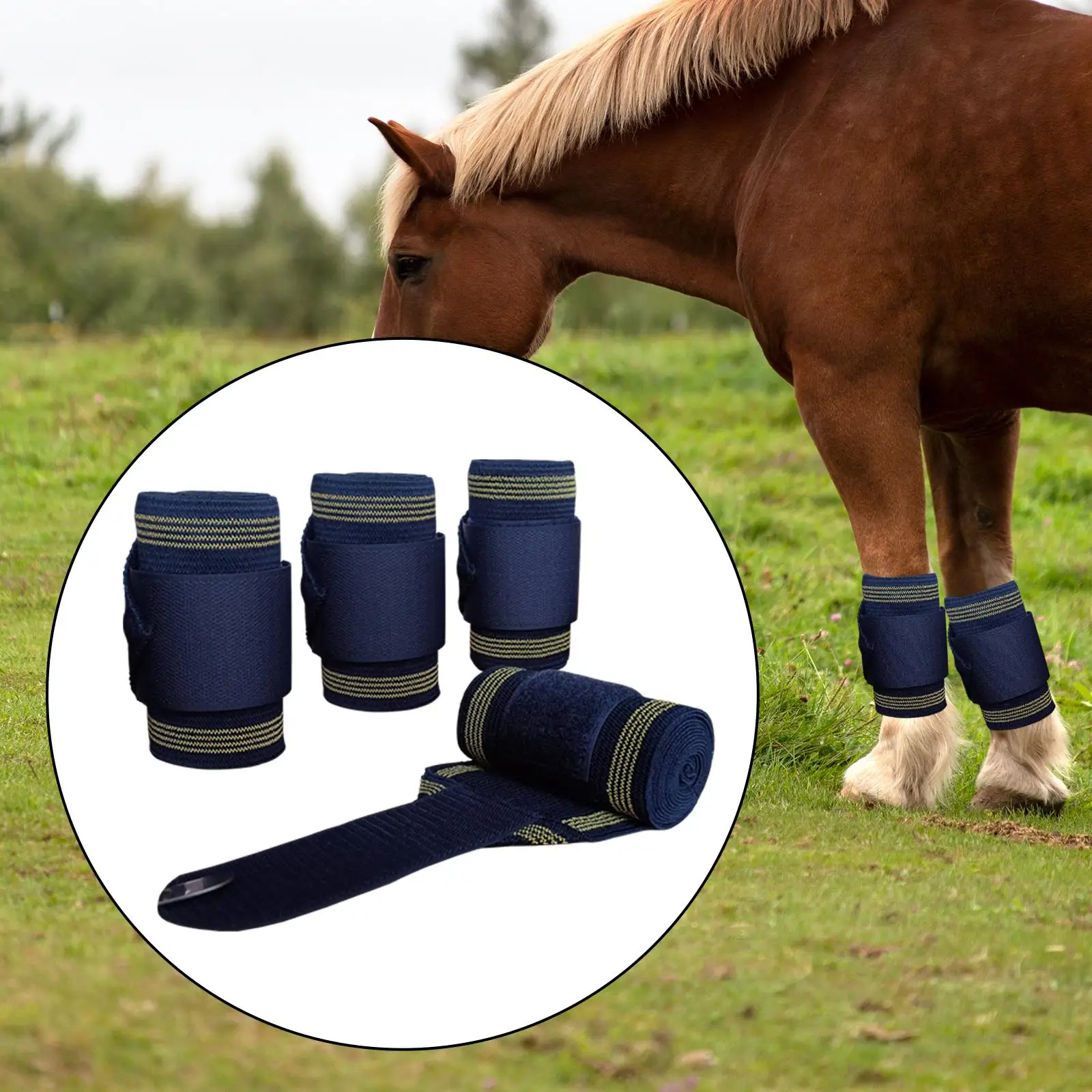 4x Horse Leg Wraps, Horse Leggings Wrap Sticky Strap, Elastic Leg Protection Belt Leg Guards for Livestock