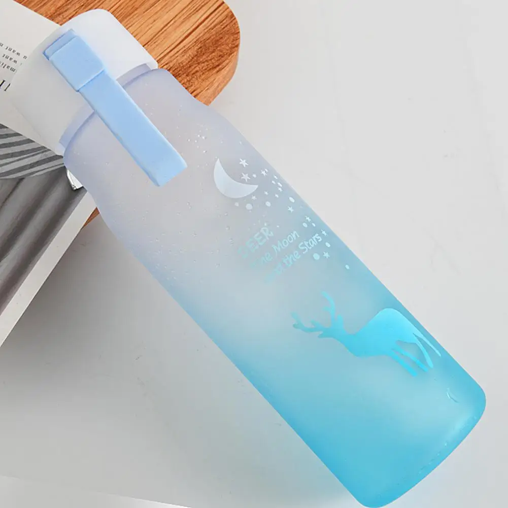Luxury Gradient Colors Water Bottle 600ml Portable Tea Bottle Juice Shaker Bottle Adults Gifts Eco-friendly Camping Office everyday drinking glasses