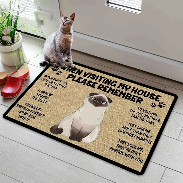 Keep In Mind When Visiting Our Home Cartoon Cat Dog Pet Welcome Doormats  Home Decor Anti-slip Front Door Floor Mats Rugs Carpets - AliExpress