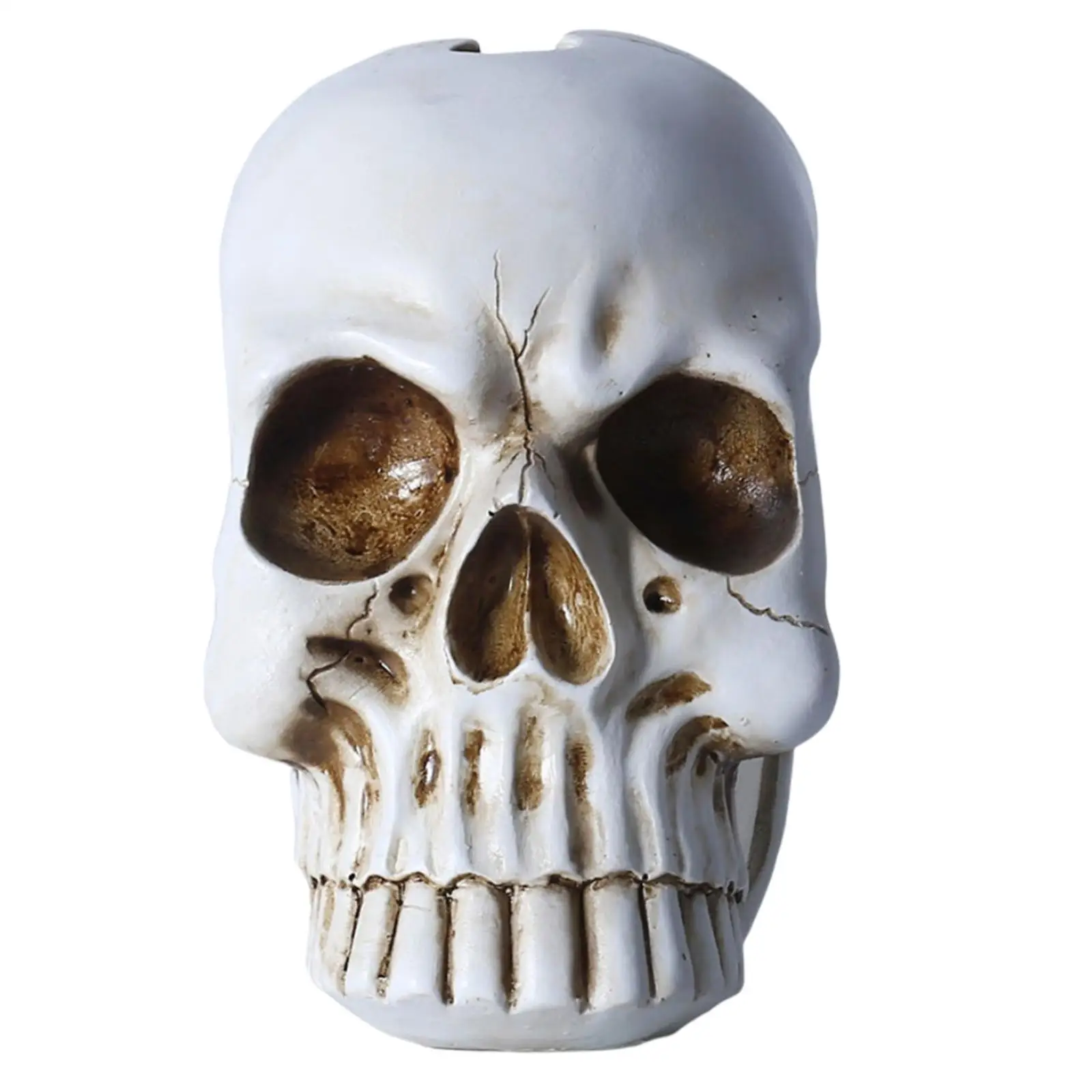Skull Cranium Toilet Bowl Brush Holder Universal Bathroom Accessories Hygienic Gothic Resin for Gag Gift Bathroom Decorative