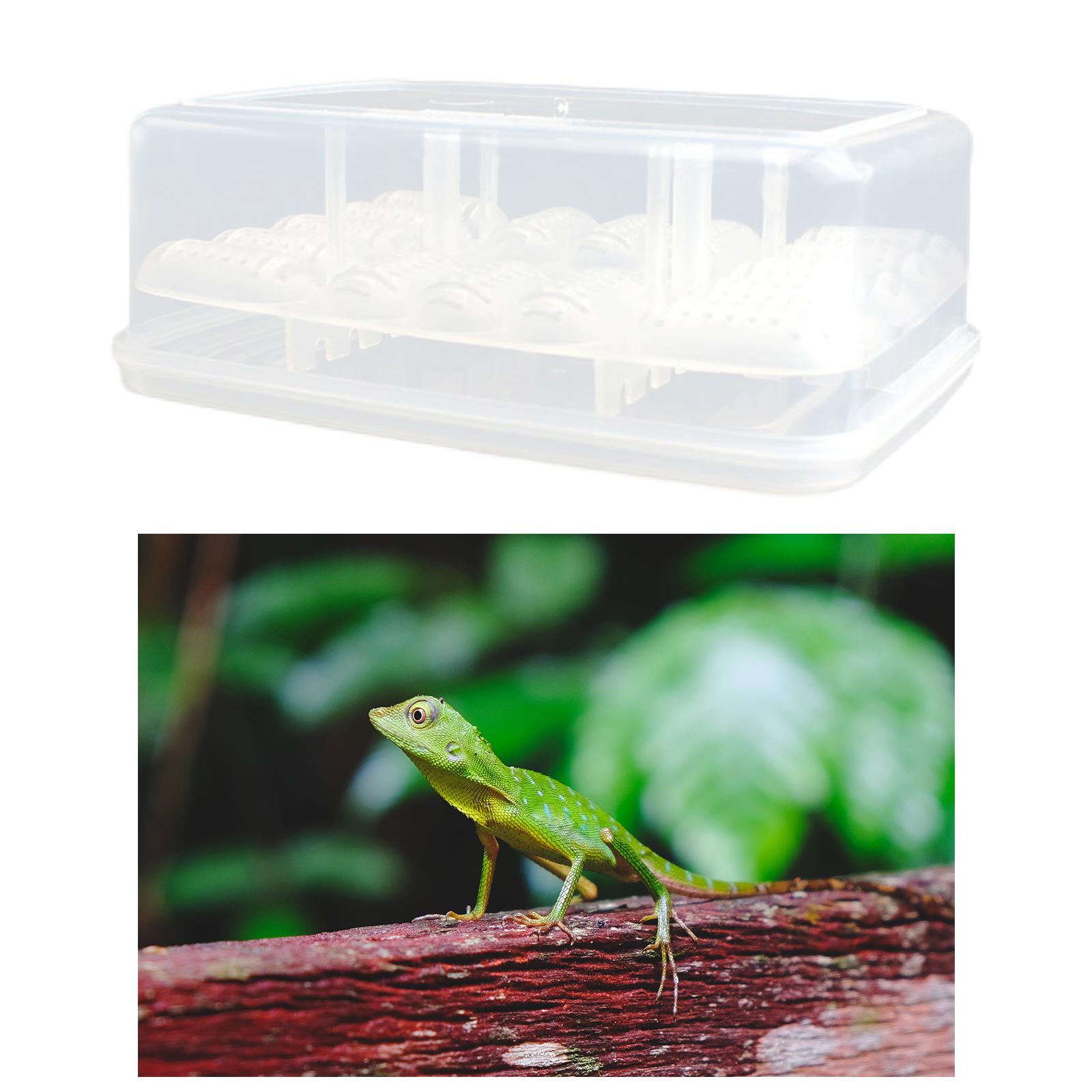 reptile egg incubator diy