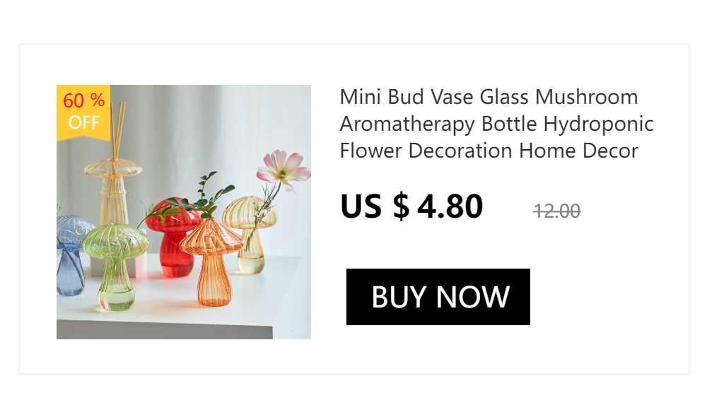 Nordic Creative Glass Bubble Vase Flower Arrangement Spherical Art Flower Ornaments Vases Decoration Home Birthday Gift