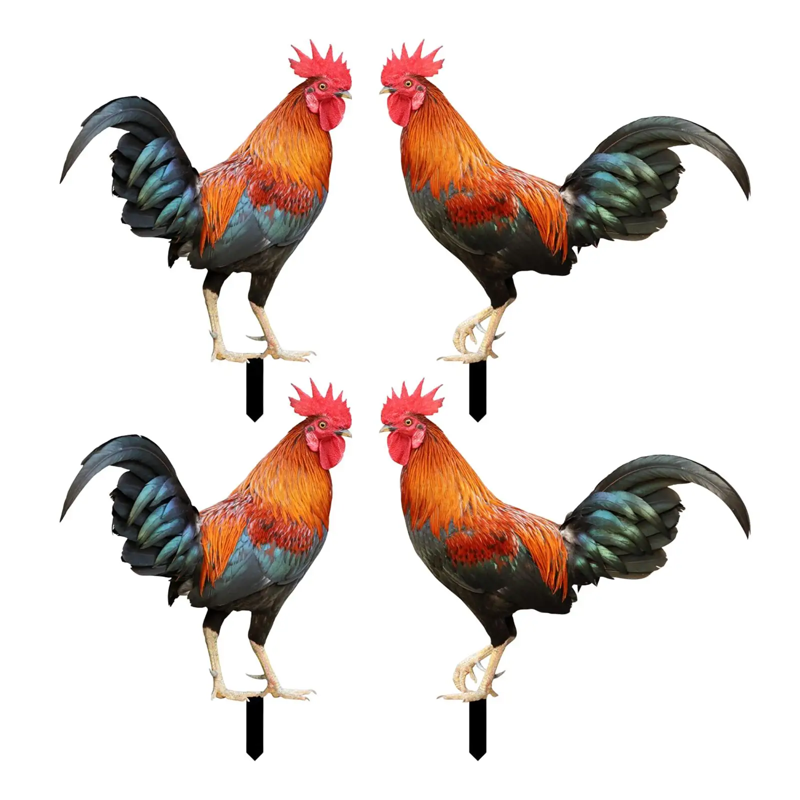 Rooster Animal Statue Standing Garden Stakes Ornament Hen Lifelike for Patio