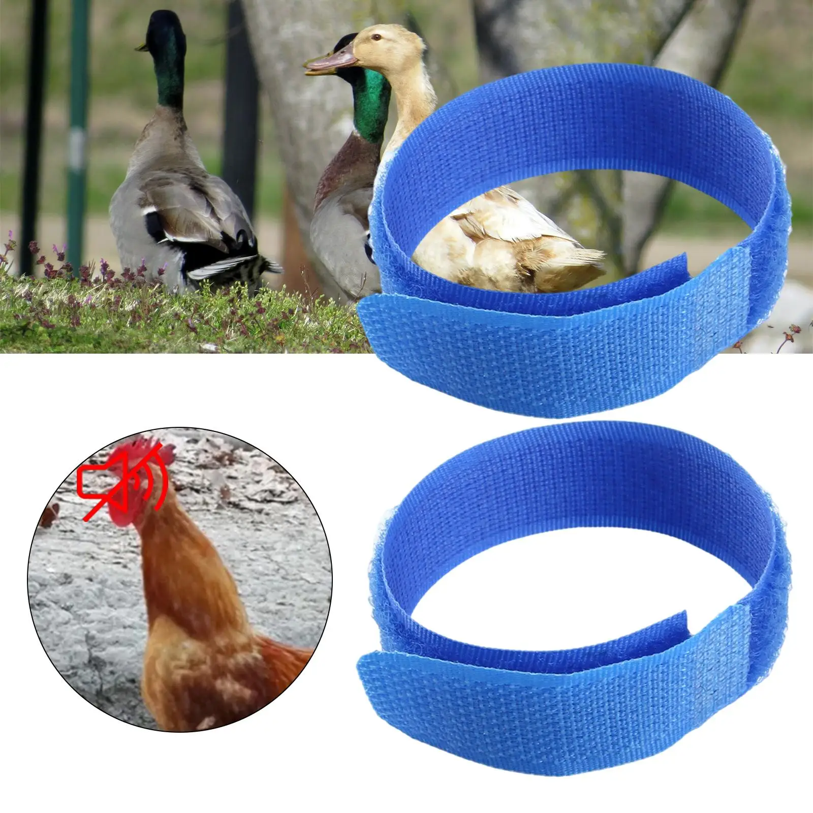 2Pcs  Rooster Anti Crow Collar Neck Belt Chicken Collar  Noise