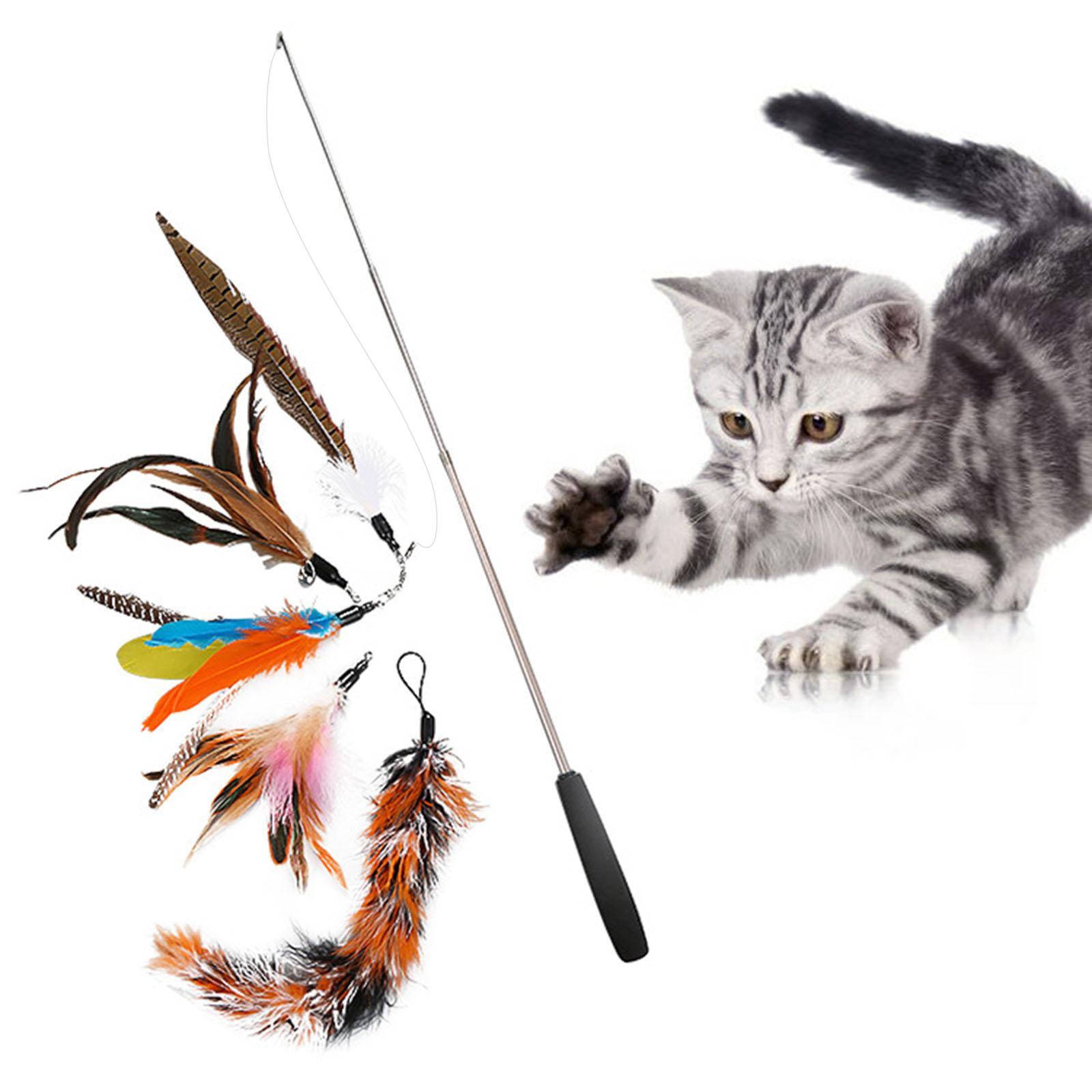 cat feather toy replacement