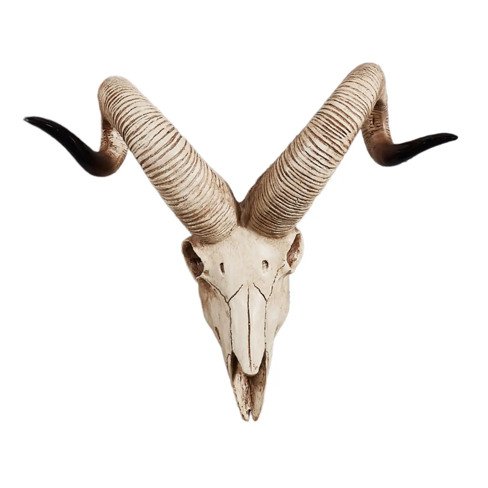 Skull Sheep Head Wall Sculpture Wall Sculpture Animal Sculpture Halloween Decoration 3D Long Horned RAM Decor Skull for Bedroom