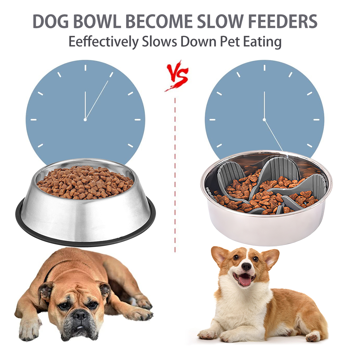 Slow Feeder Silicone Inserted In Dogs Bowl 