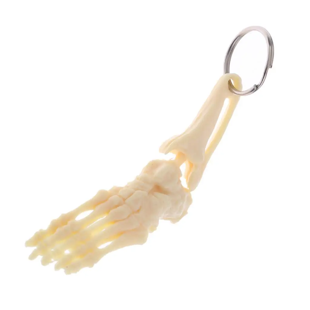 4x Novelty Keychain for , Mini Handcrafted Human Foot And Ankle Joint Skeleton Model Key , Learning Tools Collectibles
