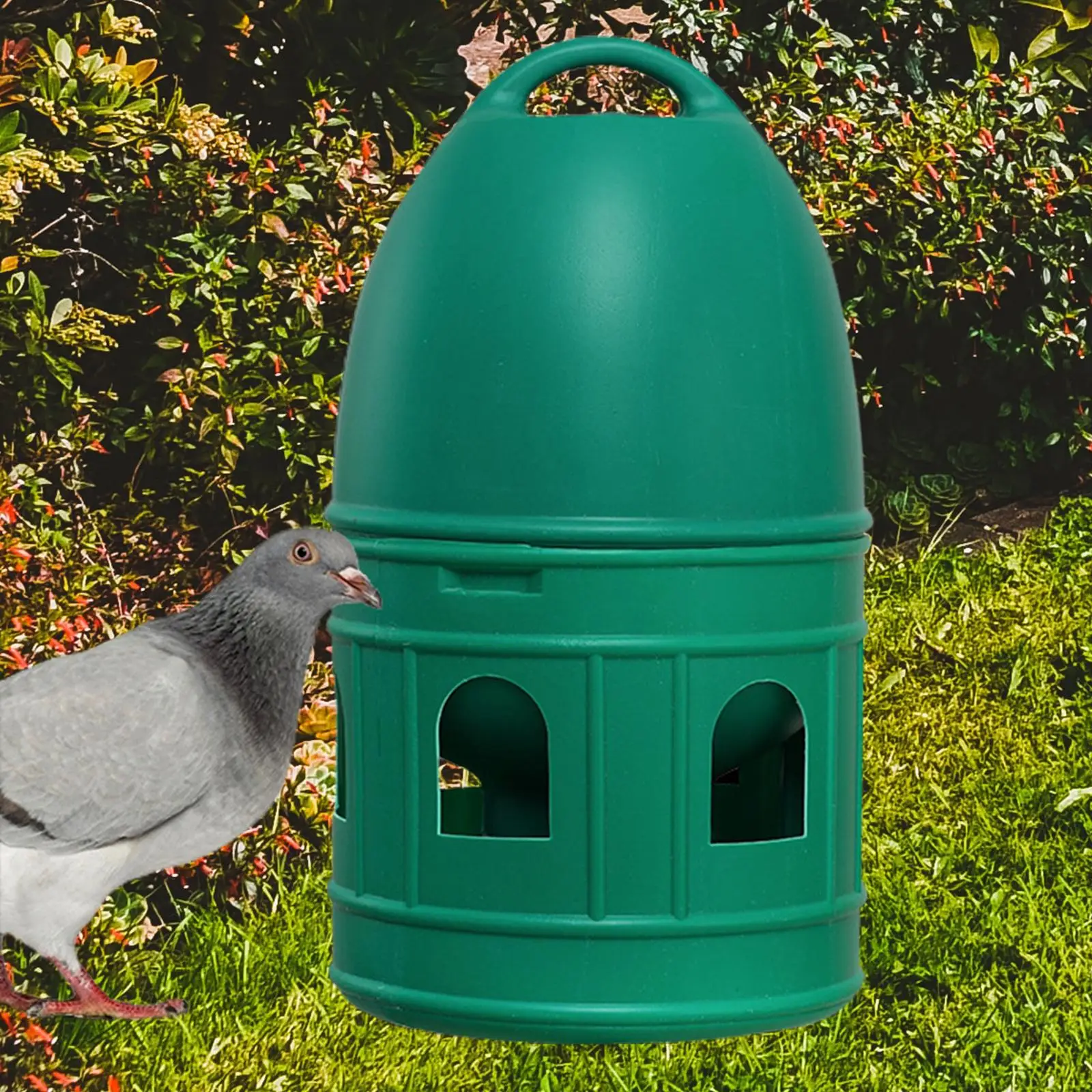 Bird Water Drinker Chicken Quail Parakeet Duck Dove Pigeon Water Dispenser Automatic Feeder with Hanging Handle Large Capacity