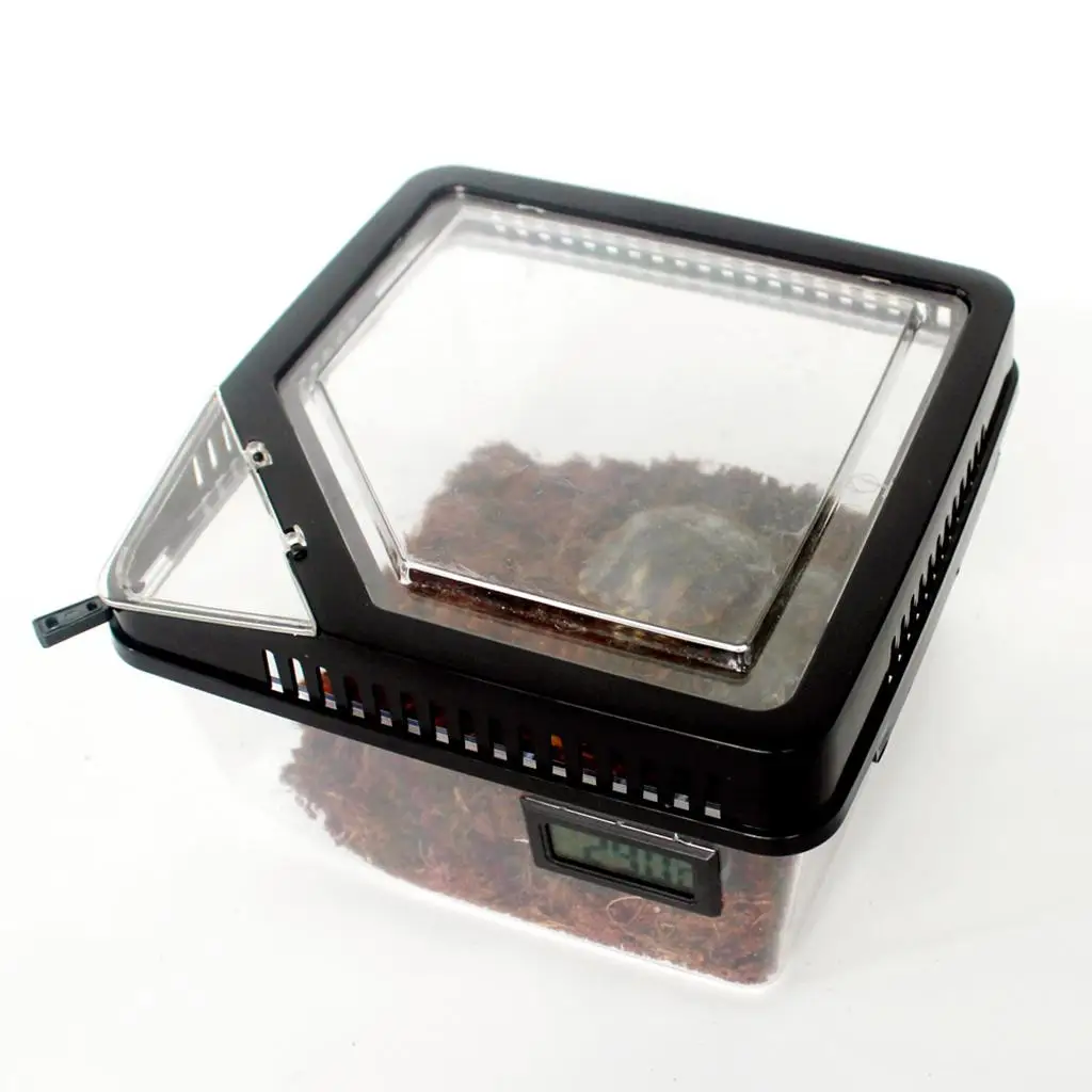 Transparent Plastic Box Insect Reptile Transport Breeding Feeding Basin Hamper