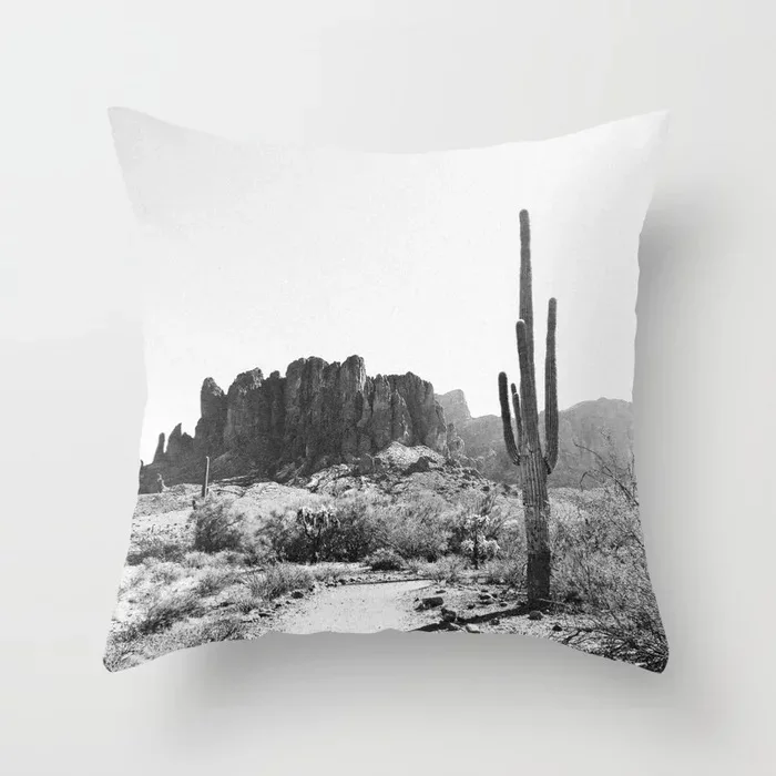 arizona-desert1387206-pillows.