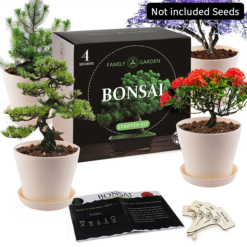 Indoor Pot Gifts Adult Crafts Drip Tray Growing Plant Germination Kids Tool Gardening Starter Bonsai Tree Kit DIY